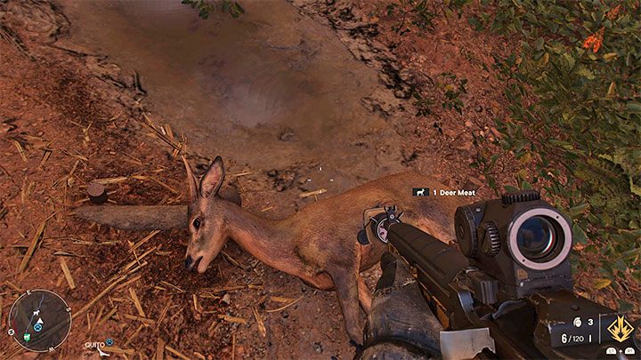 Versuchen Sie beim Jagen, sich an das Tier heranzuschleichen, um es nicht zu erschrecken oder zu beunruhigen (wenn es ein Raubtier ist) – Far Cry 6: Jagen und Angeln – Grundlagen – Far Cry 6 Guide