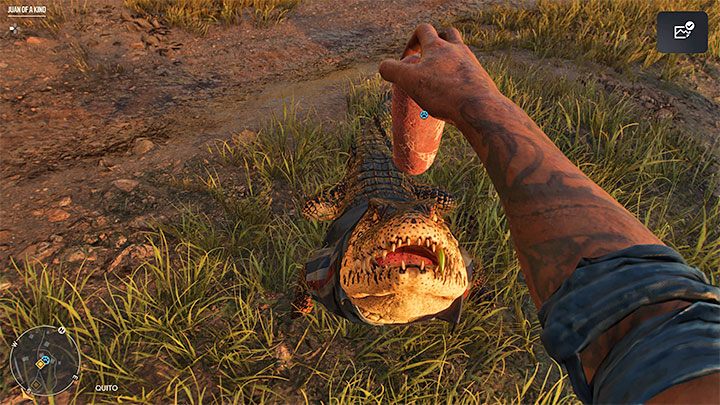 Как разблокировать: Pet Guapo - Far Cry 6: Трофеи / Достижения - список - Руководство по трофеям - Руководство по Far Cry 6