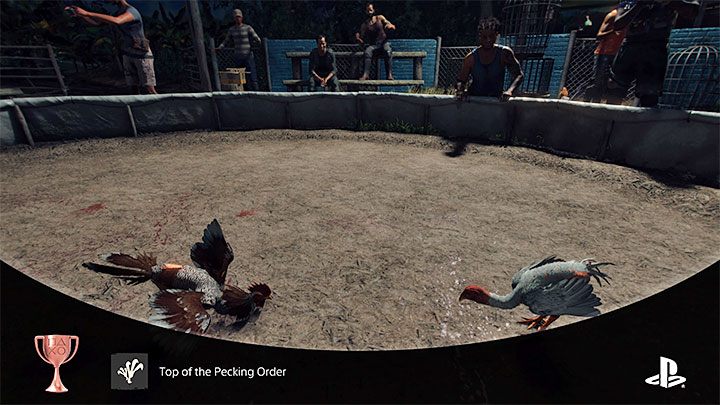 How to unlock: Win a Cockfighting match - Far Cry 6: Trophies/Achievements - list - Trophy Guide - Far Cry 6 Guide
