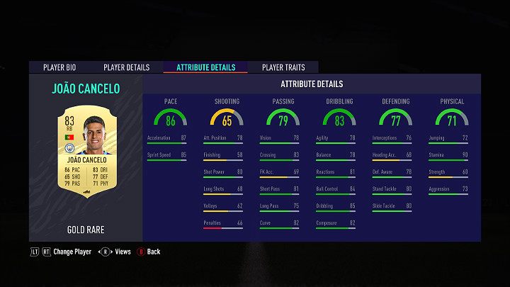 When choosing the right goalkeeper for your team in FUT 21 it is worth paying attention to those players who stand out in terms of height, GK reflexes, GK positioning and GK diving ability - FUT 21: Footballers - key statistics - FIFA Ultimate Team - FIFA 21 Guide