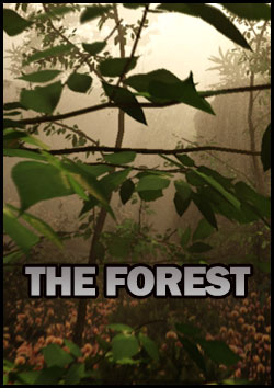 The Forest