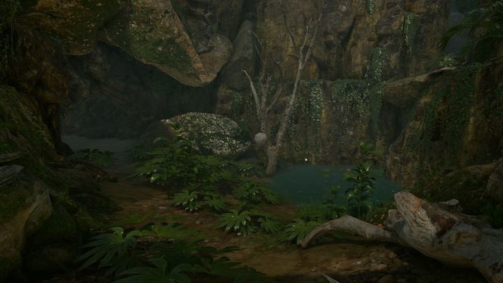 If you go north of the drug camp, you will encounter a small oasis - What interesting places can I find on the map in Green Hell? - FAQ - Green Hell Guide
