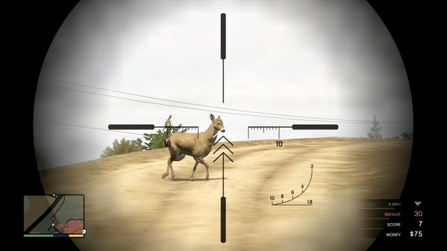 Does dont have horns and shouldnt be killed unless its a part of challenge - Hunting - Activities, Entertainment - Grand Theft Auto V Game Guide