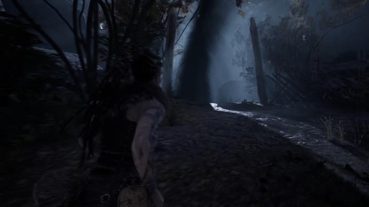 Run towards the dark tornado. - Reaching the shore - The Journey Begins - Hellblade: Senuas Sacrifice Game Guide