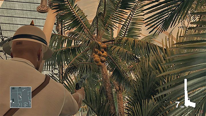 One of the coconuts that can be shot down. - Hitman Legacy Trophies - Achievements - Bangkok - Hitman Legacy - Hitman 2 Guide