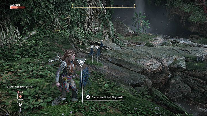 Your first objective is to find some medicinal berries, which can be made much easier by using your Focus (press the right analog stick) to scan the nearby area - Horizon Forbidden West: Reach for the Stars - walkthrough - Main Storyline - Horizon Forbidden West Guide
