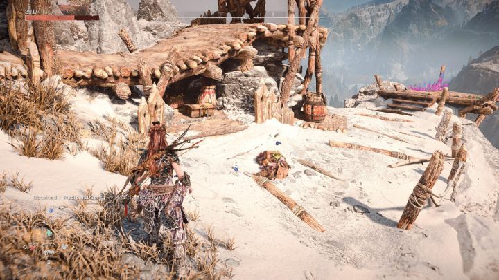 Search the area once the threat has been eliminated - Horizon Forbidden West: Call and Response - walkthrough - Favors - Horizon Forbidden West Guide