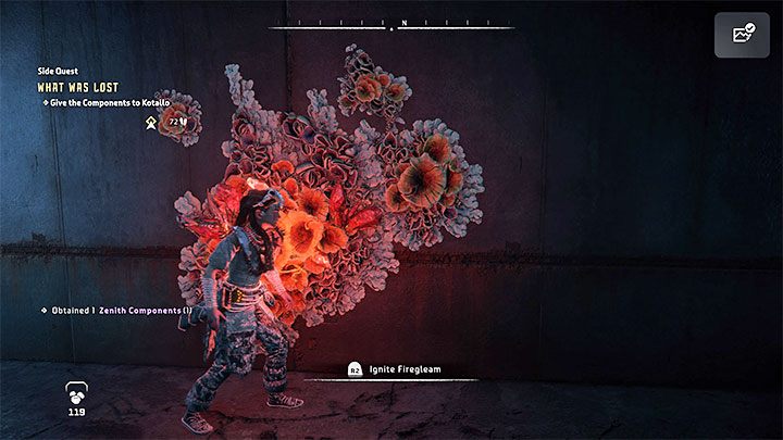 You can get out of the room with the chest by using the Igniter on the red flowers - Horizon Forbidden West: What Was Lost, Kotallos quest - walkthrough - Tasks of companions - Horizon Forbidden West Guide