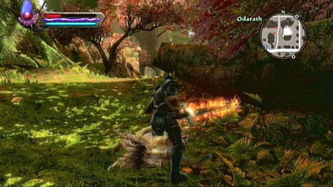 The animals can be found in the southern part of the location - Odarath II - p. 1 | Side missions - Side missions - Kingdoms of Amalur: Reckoning Game Guide & Walkthrough