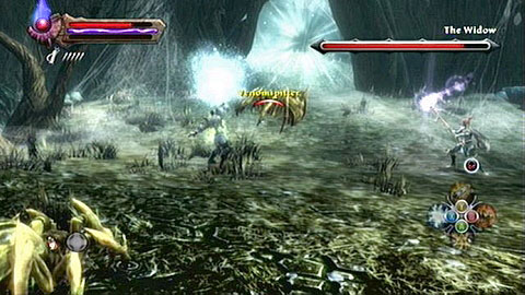 Fighting her isnt easy - Webwood - p. 2 | Side missions - Side missions - Kingdoms of Amalur: Reckoning Game Guide & Walkthrough
