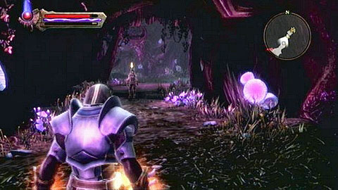 Inside the dungeon you will need to speak with the man once again - The Sidhe | Side missions - Side missions - Kingdoms of Amalur: Reckoning Game Guide & Walkthrough