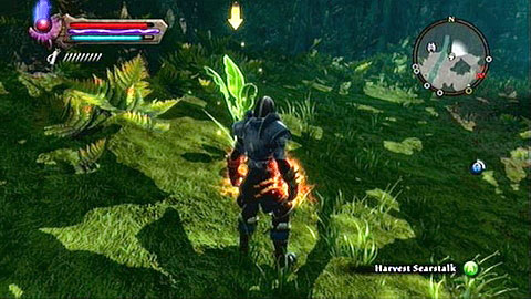 It can be found in the northern part of the woods M8(5) - The Sidhe | Side missions - Side missions - Kingdoms of Amalur: Reckoning Game Guide & Walkthrough