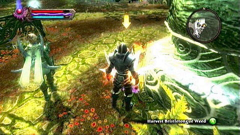 Listen to him and you will temporarily lose consciousness and wake up in Askers Alley - Ysa - p. 2 | Side missions - Side missions - Kingdoms of Amalur: Reckoning Game Guide & Walkthrough