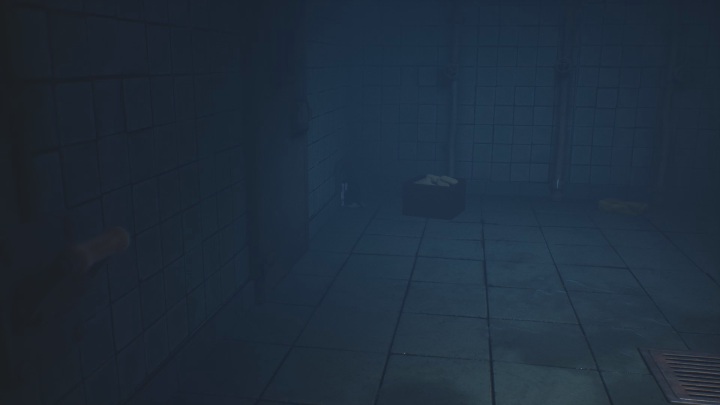 Location: Chapter 3, in the bathroom - Little Nightmares 2: Glitching Remains in Chapter 3 Hospital - list - Glitching Remains - Little Nightmares 2 Guide