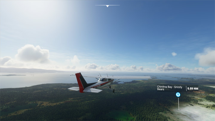2 – Microsoft Flight Simulator: Tiere – wie findet man sie?  - FAQ – Microsoft Flight Simulator 2020-Handbuch