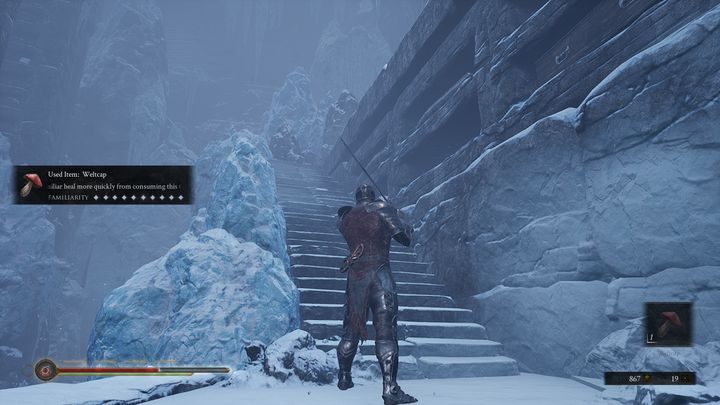 As you go up, you will encounter a Wraith, which is not much different from the earlier one, except that instead of incineration skill, it uses ice icicles that spawn from under the ground - Mortal Shell: Crypt of Martyrs walkthrough - Walkthrough - Mortal Shell Guide, Walkthrough