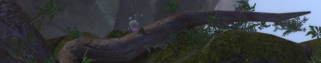 2 - Pirates Skyhold (42-45) - Maps - Neverwinter - Game Guide and Walkthrough