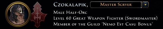 1 - Biography and titles - Hero - Neverwinter - Game Guide and Walkthrough