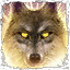 Summon Ifans Soul Wolf - Ifan Ben-Mezd in Divinity Original Sin 2 - Characters - Divinity Original Sin 2 Guide