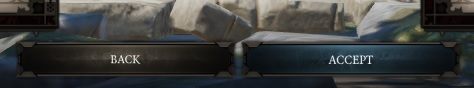 After you have performed all of the above actions, you have to accept them - Character creation in Divinity Original Sin 2 - Party - Divinity Original Sin 2 Guide