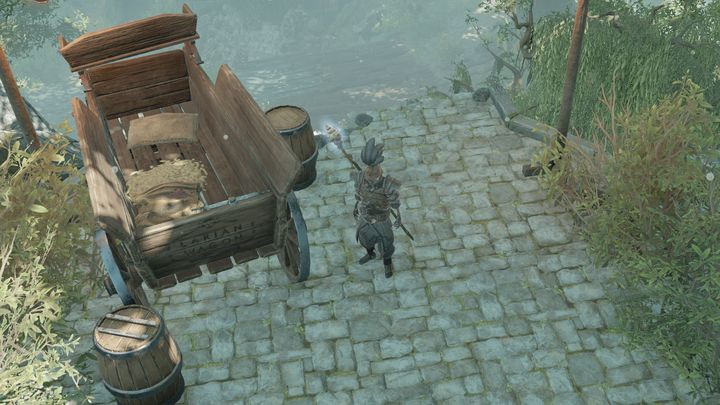 Zaleksar can be found in Hollow Marshes - Sebille quest companion quest | Companion quests - Companion quests - Divinity Original Sin 2 Guide