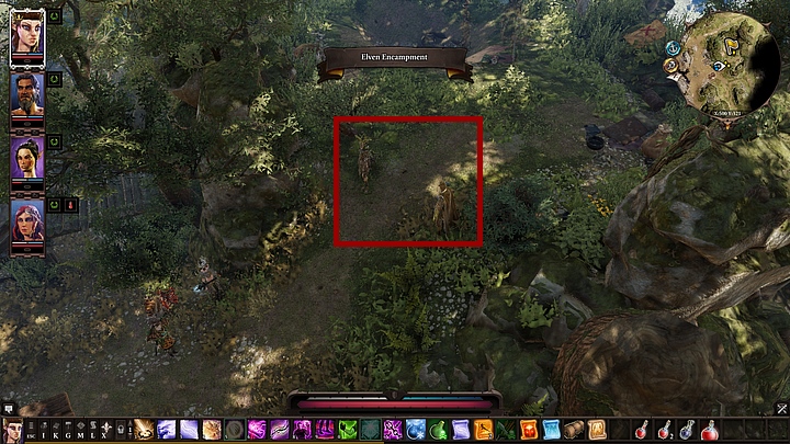 When you arrive at the camp, you will find an elf during a mysterious ritual - Remaining quests | Reapers Coast - Chapter IV - Reapers Coast - Divinity: Original Sin II Game Guide