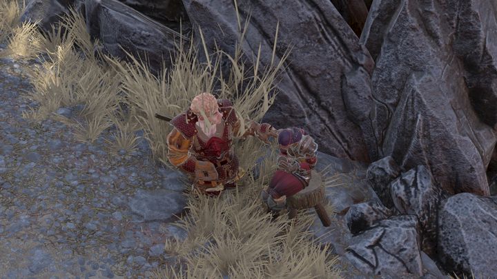 Let Beast speak with him - Beast companion quest | Companion quests - Companion quests - Divinity Original Sin 2 Guide