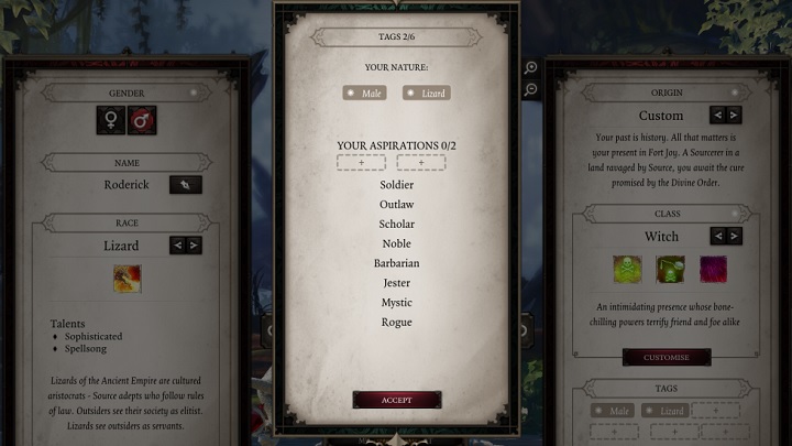 Just to remind you, tags do not reflect either the class or the attributes of a character, nor their role in the party - Tags | Party - Party - Divinity: Original Sin II Game Guide