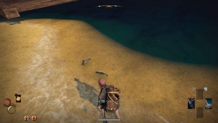 To fish, approach a place where you will notice a floating fishies. - Fishing in Outward - How to get the Fishing Harpoon? - FAQ - Outward Guide