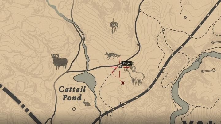 Red Dead Redemption 2: Legendary Ram - maps, tips 