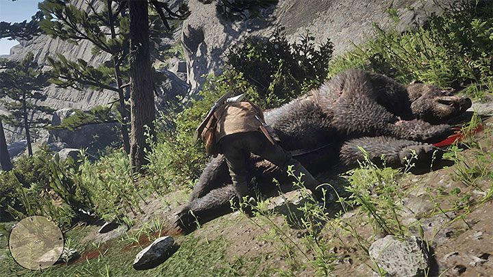 Regardless of the method, dont forget to skin the bear - How to kill the legendary bear in RDR2? - FAQ - Red Dead Redemption 2 Guide