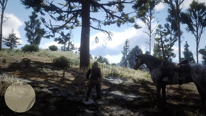 This Dreamcatcher can be found in the southern part of Ambarino, near Cotorra Springs - Red Dead Redemption 2: Dreamcatchers - where to find all of them? Maps - Secrets and collectibles - Red Dead Redemption 2 Guide