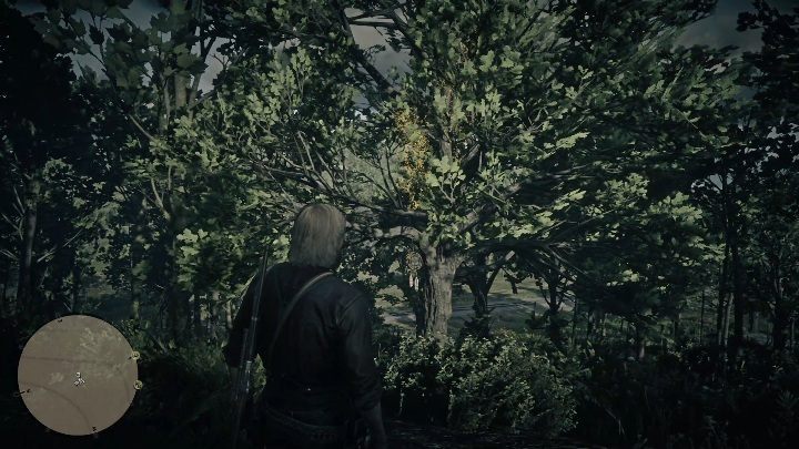 This Dreamcatcher is near New Hanover - Red Dead Redemption 2: Dreamcatchers - where to find all of them? Maps - Secrets and collectibles - Red Dead Redemption 2 Guide