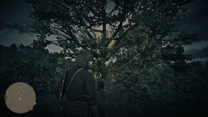 This Dreamcatcher can be found near Elysian Pool - Red Dead Redemption 2: Dreamcatchers - where to find all of them? Maps - Secrets and collectibles - Red Dead Redemption 2 Guide