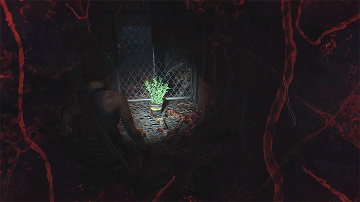 Sie können mehr grüne Kräuter finden, wenn Sie weitere Brecher erreichen – Resident Evil 3: Rätsel zur Wiederherstellung der Stromversorgung von Umspannwerken – Rätsellösungen – Resident Evil 3-Leitfaden