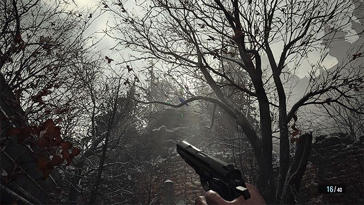 Sie können ein Scharfschützengewehr verwenden, um den seltenen Vogel zu töten, oder Sie können näher herangehen und eine normale Pistole verwenden – Resident Evil Village: Juicy Game-Zutat – wie bekomme ich sie?  - FAQ – Resident Evil Village Guide