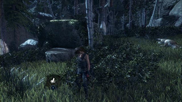 In the bushes in front of the rock - Rise of the Tomb Raider: Survival caches, Geothermal Valley secrets, map - Geothermal Valley - Rise of the Tomb Raider Guide