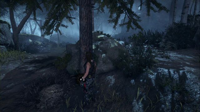 At the tree, by the path in the forest - Chests and crypt treasures | Geothermal Valley - Geothermal Valley - Rise of the Tomb Raider Game Guide & Walkthrough