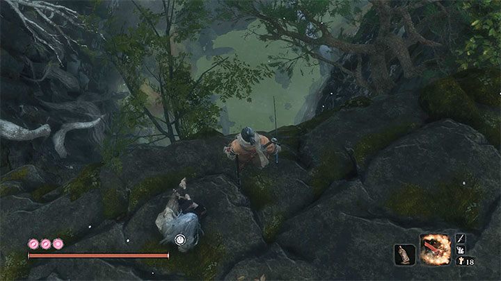 All of the above areas were connected with getting to Guardians Ape lair, but the Sunken valley has additional two large zones - Sunken Valley | Sekiro Shadows Die Twice Walkthrough - Main story - Sekiro Guide and Walkthrough