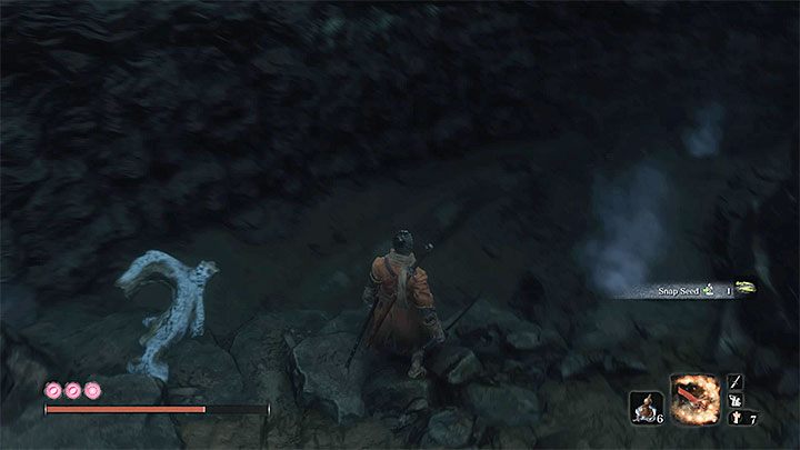 The second additional area in the Sunken Valley is a cave, which is the lair of the Great Serpent (the same one that attacked the hero after leaving the Fort) - Sunken Valley | Sekiro Shadows Die Twice Walkthrough - Main story - Sekiro Guide and Walkthrough