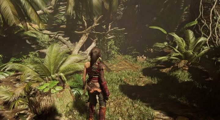 Operation Update (10) - after reaching this point on the map, you should notice the document right away - Treasures, Relics, and Documents - Kuwaq Yaku - Shadow of the Tomb Raider Game Guide