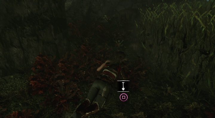 Underwater, in the Temple of Life, you can find the hideout number 13 - Treasures, Relics, and Documents - Kuwaq Yaku - Shadow of the Tomb Raider Game Guide