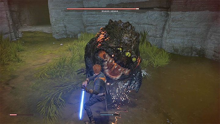 Oggdo Bogdo can be encountered during the exploration of Bogano - Why cant I defeat the Ogggo Bogdo toad in Fallen Order? - Combat - Star Wars Jedi Fallen Order Guide