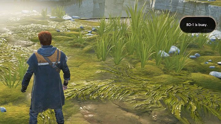 This is a minor problem that you may encounter while completing the first part of the first chapter on the Bogano planet - Star Wars Jedi Fallen Order Guide