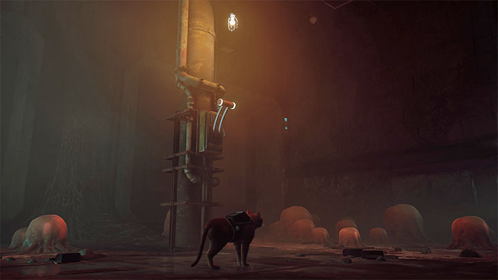 The route is linear - Stray: The Sewers, Chapter 8 - walkthrough - Walkthrough - Stray Guide, Walkthrough