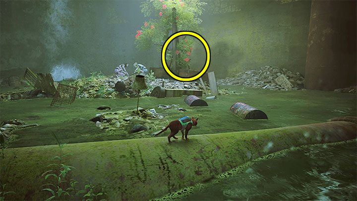 Red Plant is found below the village - Stray: Badges - list of all - Secrets and Collectibles - Stray Guide, Walkthrough