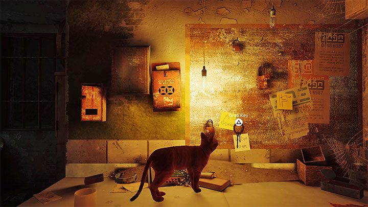 To get the key, you need to climb the table and get it off the wall - Stray: Jail, Chapter 11 - walkthrough - Walkthrough - Stray Guide, Walkthrough