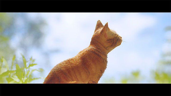 The cat safely exits Walled City 99 and reaches the outside world - Stray: The games ending - walkthrough of the ending - Walkthrough - Stray Guide, Walkthrough