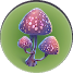 Pink Cap - Subnautica: Flora - list - Resources - Subnautica Game Guide