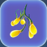 Creepvine Seed Cluster - Subnautica: Flora - list - Resources - Subnautica Game Guide